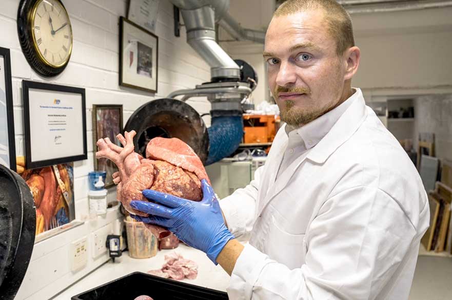 诺丁汉特伦特大学开发出3D打印心脏和肺部模型