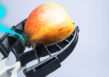 Fraunhofer IWS 为工业和研究领域的敏感应用开发仿生夹具