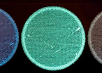 用于医疗植入物的荧光 3D 打印结构