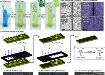 可见光和光响应聚合物的新方法