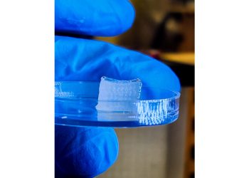 新的生物打印技术提高了组织生产的效率和精度