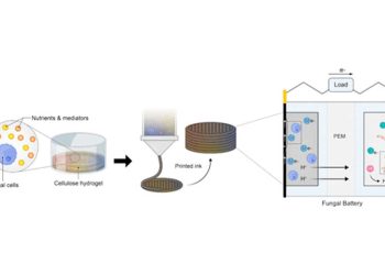 用于可持续电子产品的真菌能源